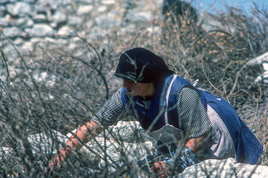 Μία Μανιάτισσα
