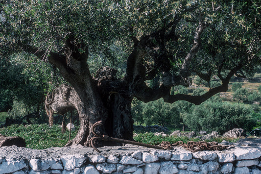 Ένας περίεργος συνδυασμός!