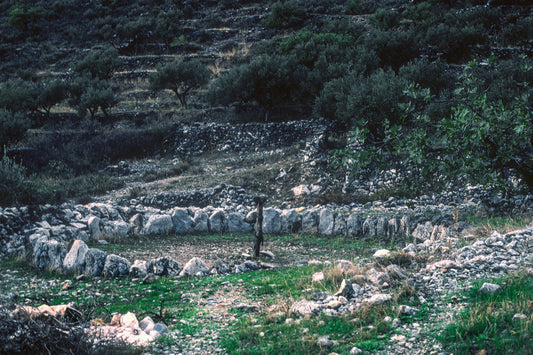 Ένα αλώνι στην Μάνη