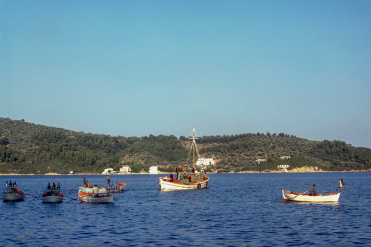 Fishing boats in the port of Skiathos