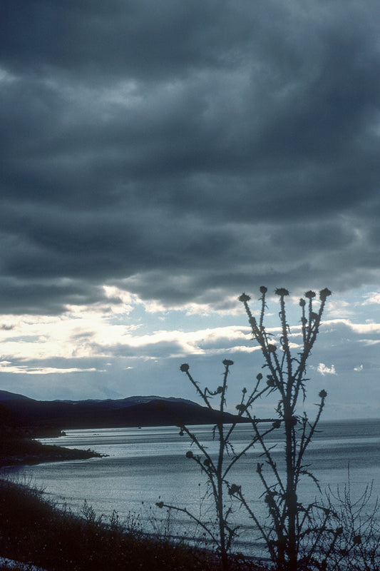 A landscape in the Peloponnese calmness