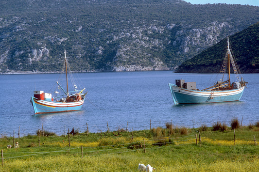 Two boats and the same time goats graze in the green Halkidiki