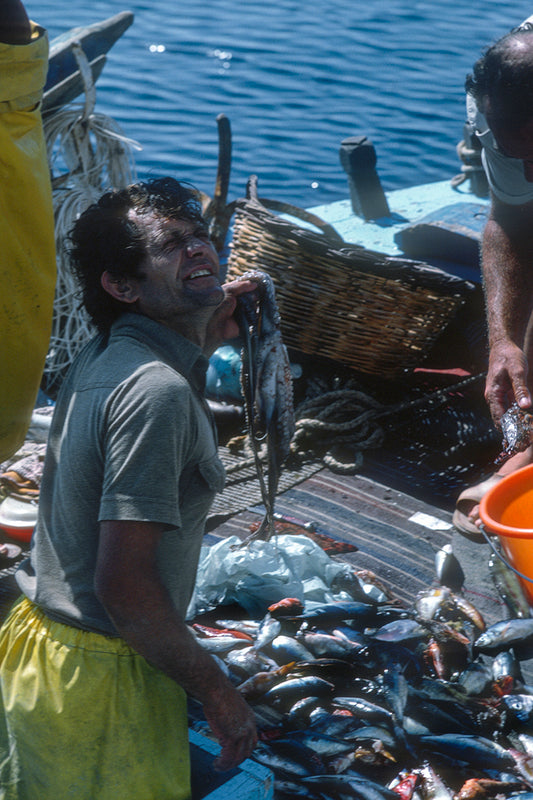 Returning after a good fishing day