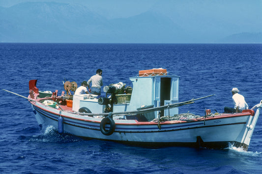 Ψαροκάϊκο σε δράση