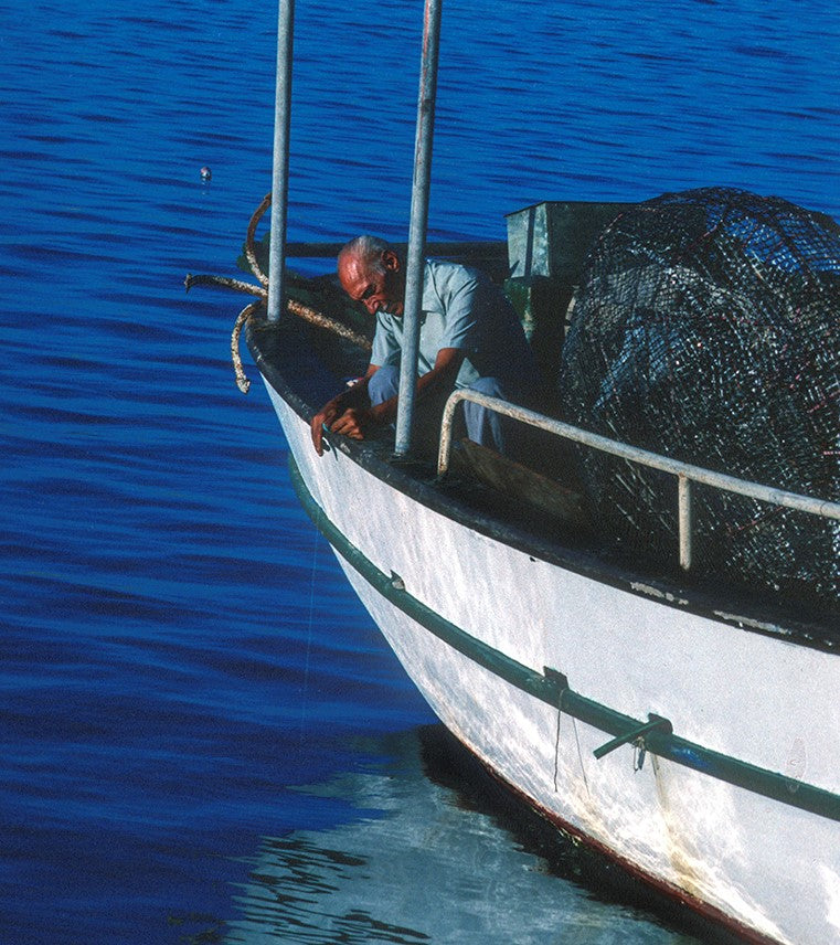 Υπομονετικός ψαράς