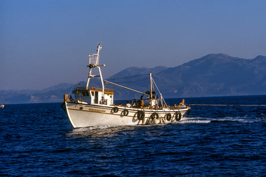 Η "μάνα" των γρι - γρι