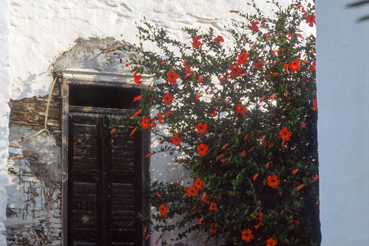 A door in Sifnos