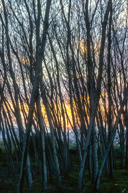Ηλιοβασίλεμα στον Γέρακα