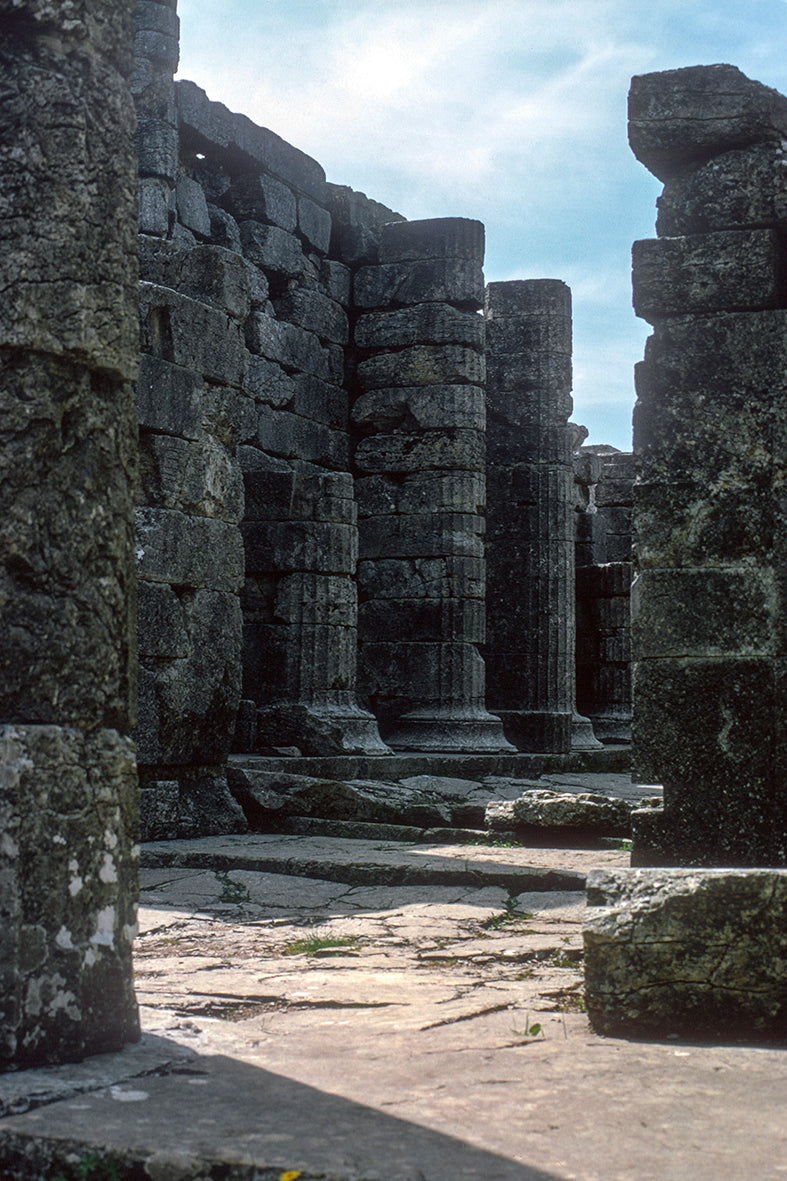 The temple in Figaleia